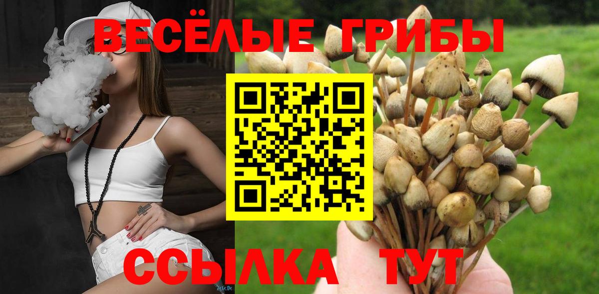 Галлюциногенные грибы Psilocybe  Вход с VPN  Галлюциногенные грибы GOLDEN TEACHER  Удомля 