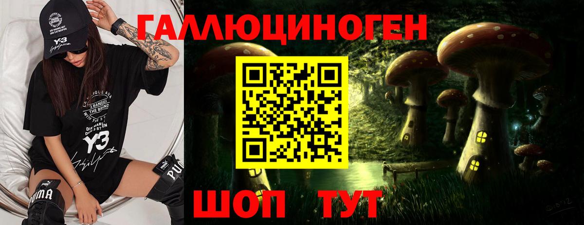 Псилоцибиновые грибы мухоморы Удомля